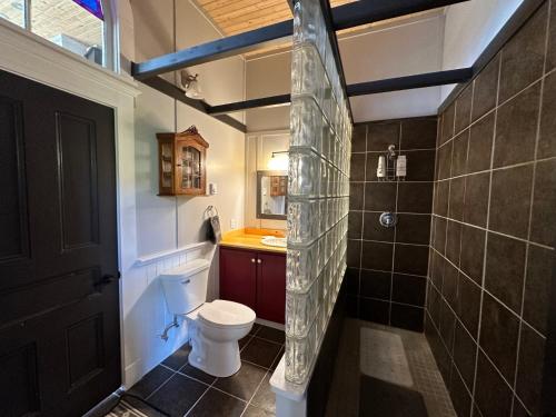 a bathroom with a toilet and a glass wall at Trinity's Oceanview Gem 2BR St Paul's Schoolhouse in Trinity