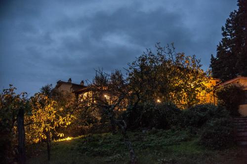 Taman di luar Podere Il Poggiolo