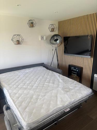 a bed in a room with a flat screen tv at Chambre d'Hôtes Arla Goxoki in Amendeuix-Oneix