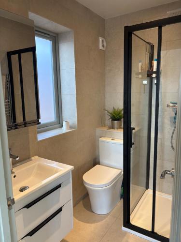 a bathroom with a toilet and a sink and a shower at Knowle Grange Guest House in Frant