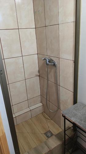 a shower with a shower head in a bathroom at EL ROBLE 2 CHILLaN in Chillán