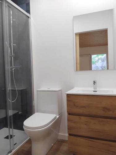 a bathroom with a toilet and a shower and a sink at Casa Roda 39 in A Guarda