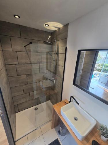 a bathroom with a shower and a sink at Terrasses du Zimmerberg in Barr