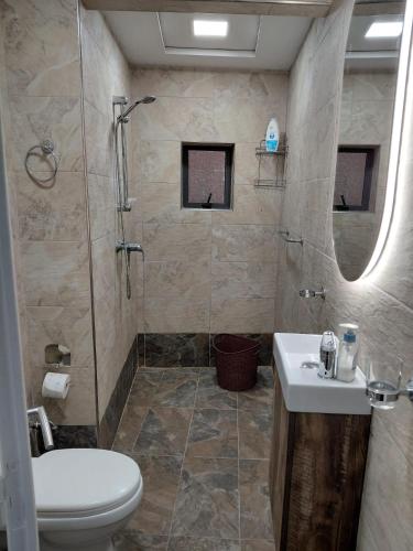 a bathroom with a shower and a toilet and a sink at Charming Ground-floor Maisonette in Birgu
