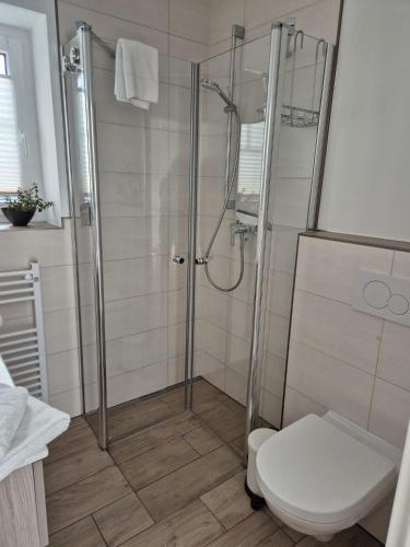 a bathroom with a shower with a toilet at Kleine Hafenperle Büsum in Büsum