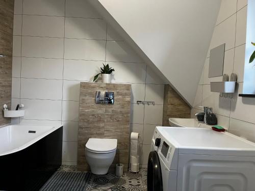 a bathroom with a toilet and a sink at Powidz Cozy Apartament in Powidz