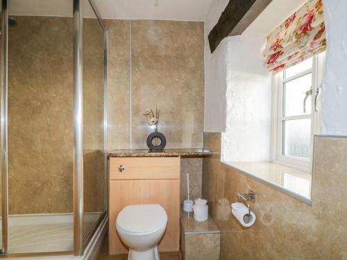 a bathroom with a toilet and a shower at Mews Cottage 6 in Keswick