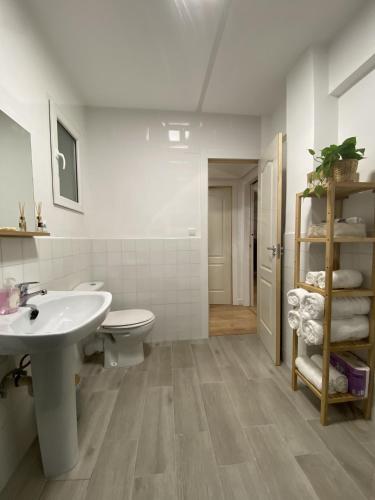 a bathroom with a sink and a toilet at Apartamento en Eibar in Éibar