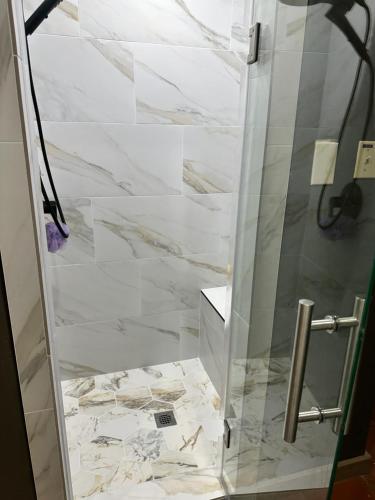 a shower with a glass door in a bathroom at Around the Bend Bungalow in Fredericksburg