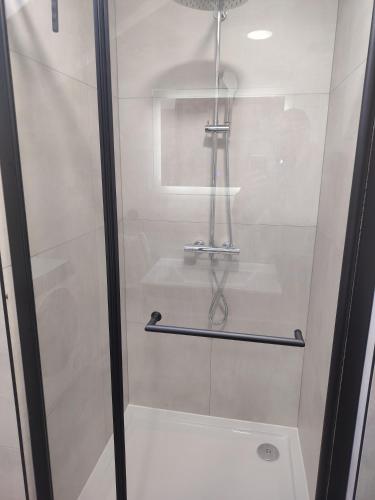 a shower with a glass door in a bathroom at Apartman ŠIPA in Bjelovar