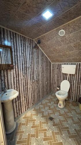 a bathroom with a toilet and a sink at Garden Sheki Hotel in Sheki