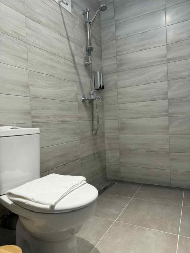 a bathroom with a toilet and a shower at Alexandra Apartment in Agíasma