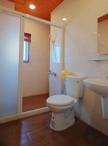 a bathroom with a toilet and a sink and a shower at 佳家民宿 in Linbian