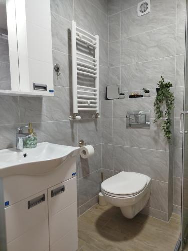 a bathroom with a white toilet and a sink at Studio Sky in Smederevo