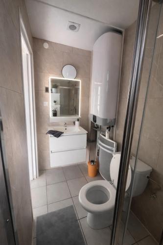 a bathroom with a toilet and a sink and a mirror at Studio cosy avec parking, tram direct Strasbourg 7 min in Illkirch-Graffenstaden