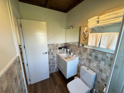 a small bathroom with a sink and a toilet at APARTAMENTOS LOS MANZANOS in Ribadesella