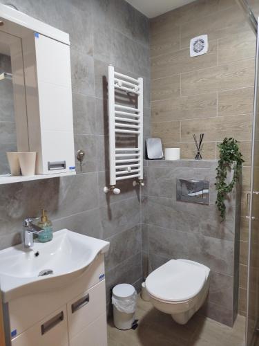 a bathroom with a toilet and a sink at City Studio in Smederevo