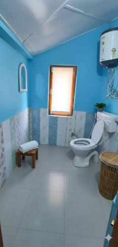 a bathroom with a toilet and a blue wall at CL Villa Manali in Manāli