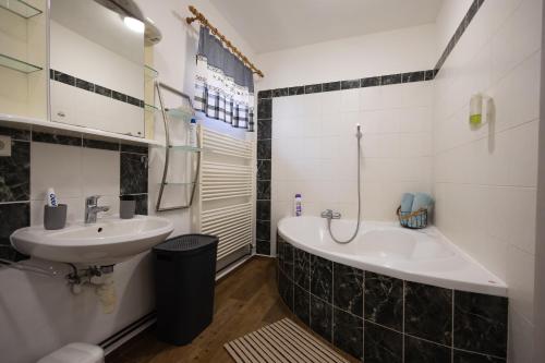 a bathroom with a sink and a bath tub at U Čertovy brázdy in Sázava