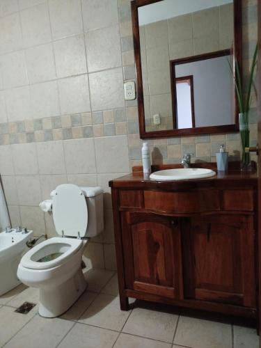 a bathroom with a toilet and a sink and a mirror at Casa Quinta Malu in Gualeguaychú