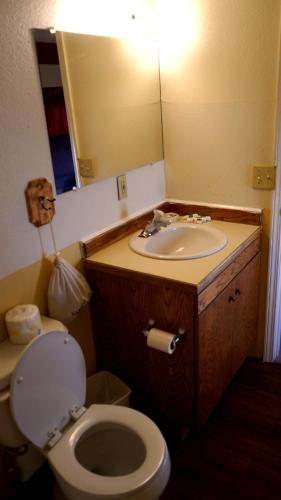 a bathroom with a sink and a toilet and a mirror at Historic Rail car on route 66 in Williams