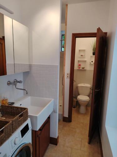 a bathroom with a sink and a toilet at Studio Magnolia in Saint-Satur