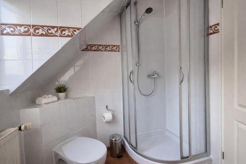 a bathroom with a shower and a toilet at Ferienhaus Klüver in Kühlungsborn
