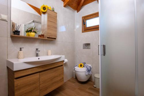 a bathroom with a sink and a toilet at Villa Suzana in Mikrós Prínos