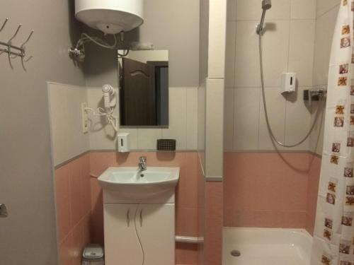 een badkamer met een wastafel en een douche bij S&M Apartments - Zarichna in Kiev