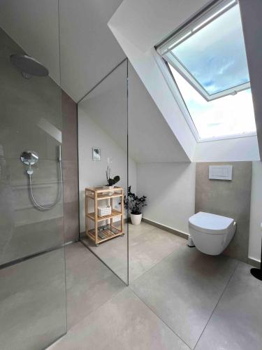 a bathroom with a shower and a toilet and a skylight at Träumen im Musikerviertel in Karlsruhe