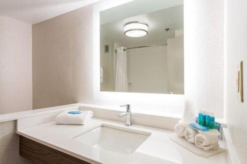 a bathroom with a sink and a large mirror at Holiday Inn Express Hotel & Suites Goldsboro - Base Area by IHG in Goldsboro