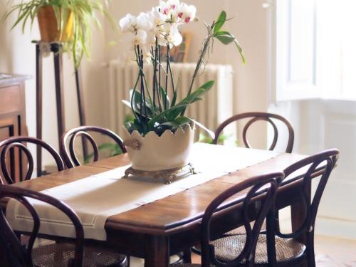 Lux Domus photo 7