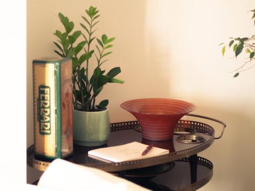 Lux Domus photo 10