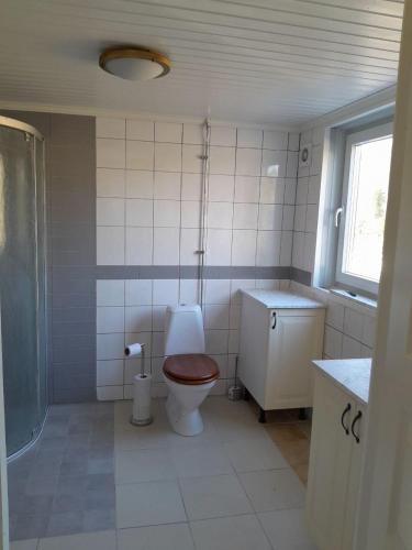 a bathroom with a toilet and a shower and a sink at Borgahallen The Wedding Room in Rimbo