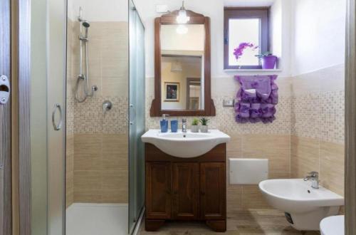 a bathroom with a sink and a shower at Relax House & Gym in Villanova Monteleone
