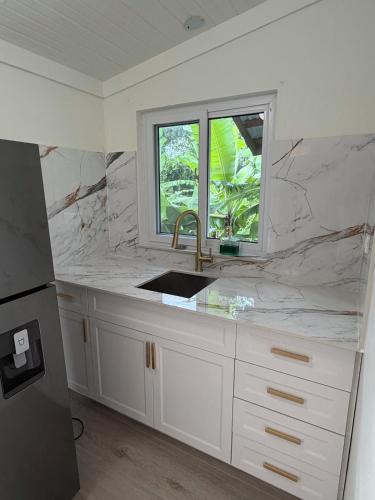 a kitchen with a sink and a window at Heaven Can Wait APT2 in Steer Town
