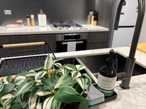 a bottle of wine sitting next to a plant in a kitchen at Luxurious City View with Gym Pool Parking Playground in Sydney