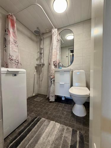 a bathroom with a toilet and a sink and a mirror at Apartment Kopin5 in Kokkola