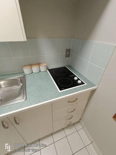 a small kitchen with a stove and a sink at Opuke Studio Methven in Methven