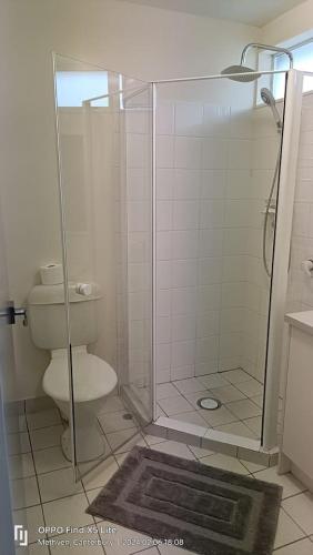 a bathroom with a toilet and a glass shower at Mt Hutt Studio at 23 Methven in Methven