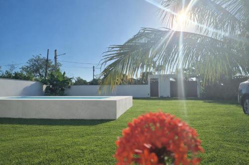 a yard with a pool and a palm tree at Casa Telhado Inclinado in Saquarema