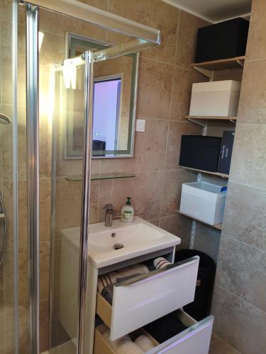 a bathroom with a sink and a shower at l'Oracle Albinos in Nîmes