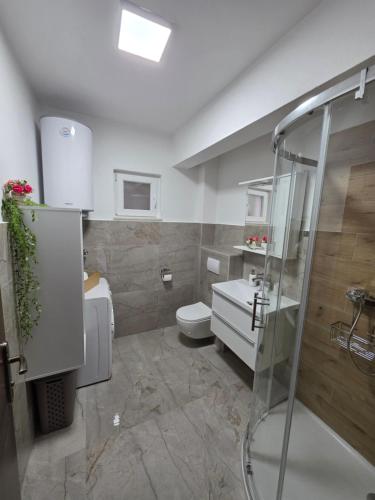a bathroom with a shower and a toilet and a sink at Kuća za odmor Elena in Vrlika