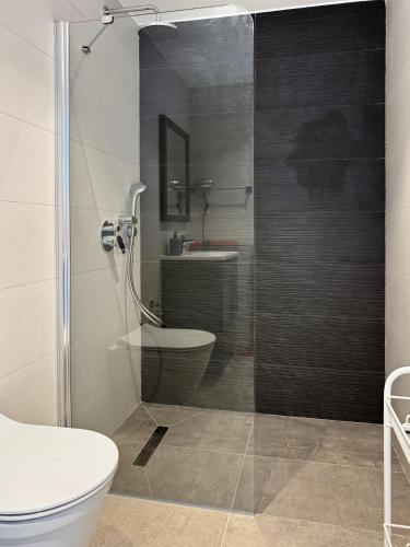 a bathroom with a shower and a toilet and a sink at Kantara Beach Resort Apartment FeMa in Athalassa