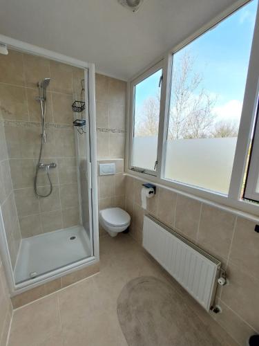 a bathroom with a shower and a toilet and a window at Het Gewei in Burgh Haamstede