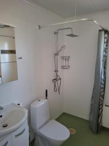 a bathroom with a toilet and a shower and a sink at bekväm villa in Fliseryd