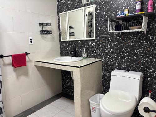 ein Badezimmer mit weißer Toilette und Waschbecken in der Unterkunft Full studio with parking in Bacalar