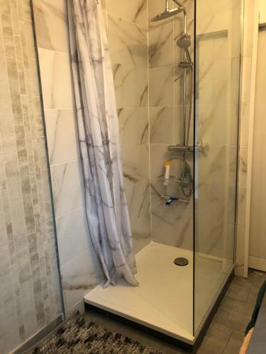 a shower in a bathroom with a glass door at Locéane in Le Pêchereau