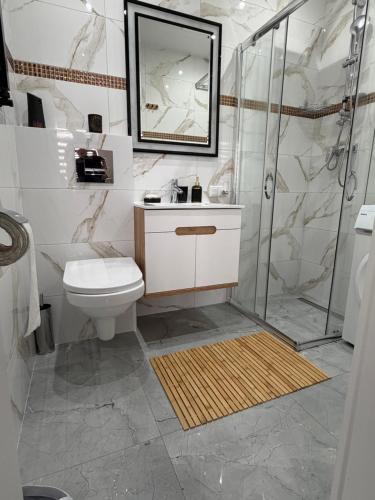 a bathroom with a toilet and a shower and a sink at Apartament Ostrowiec Świętokrzyski Browarna 4 in Ostrowiec Świętokrzyski