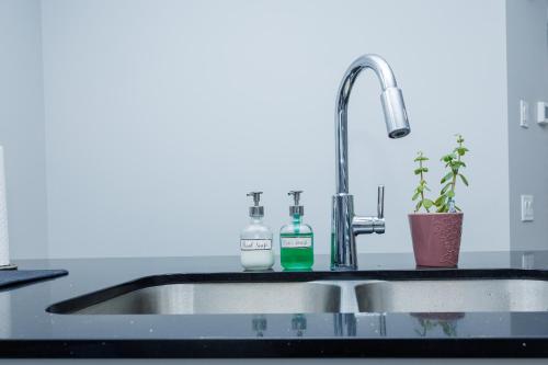 a kitchen sink with two bottles of soap on it at Kris Comfort Garden Suite in Edmonton